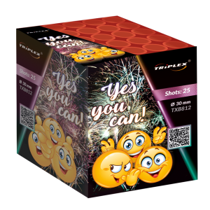 BATERIA YES YOU CAN! F2  25S 1.2"  TXB812 